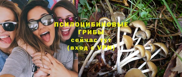 кокс Няндома