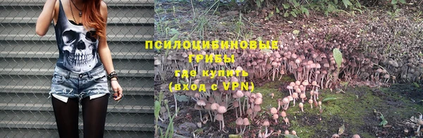 мяу мяу кристалл Нягань