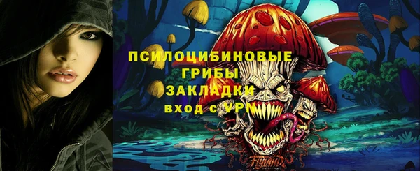 кокс Няндома