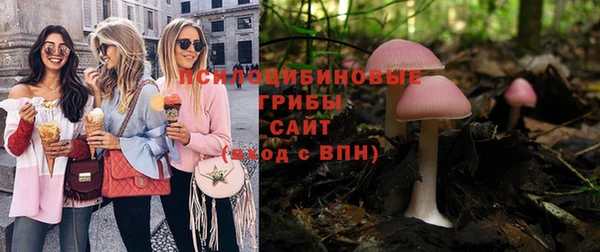 кокс Няндома