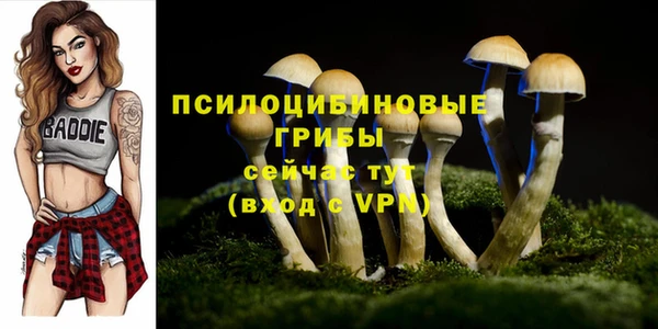 кокс Няндома